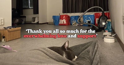 'He's more than "just a cat" to me': After 1.5 years of being homeless with their loyal cat, proud pawrent and feline share heartwarming photo of their first night home