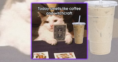 A Hauntingly Hilarious Collection of Spooky Cat Memes for Feline Fans Ready to Get Into the Halloween Spirit