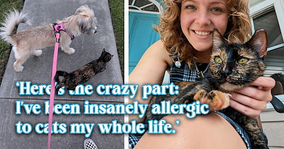 Cat lover who’s very allergic to cats adopts a dog, and on a daily walk she leads her to the one cat who doesn’t set off her allergies: 'Welcome home, Willow.'