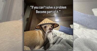 'Happiness is a warm puppy': Animal laughs and joys for a happy brain to give your midweek slump a silly paw pick-me-up (October 14, 2026)