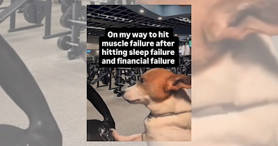 ‘On My Way to Hit Muscle Failure After Hitting Sleep Failure and Financial Failure’: 17 Gym Memes for Gym Rats Obsessed With Hitting Protein Goals