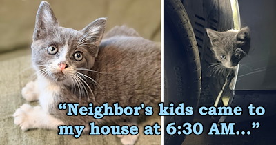 Kind kids wake the neighborhood cat lady to tell her there's a kitten trapped in a car, and after hours of many neighbors working together, they manage to save the most unique-looking brown kitten 