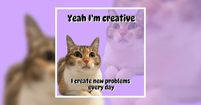 ‘Part of my creative process is going insane for 3 hours’: 25 Creative Memes for a Colorful Laughter Crash Course