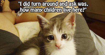 Kidnapped kitten saves 3 children from neglectful mother living in rancid house