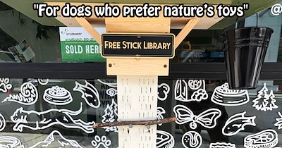 Portland’s first free library for dogs and cats opens, encouraging pawrents to let their pets take a toy or leave a toy