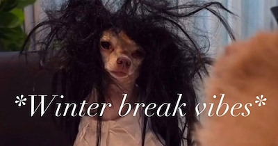 The Best Teacher Memes of the Week (October 16, 2026)