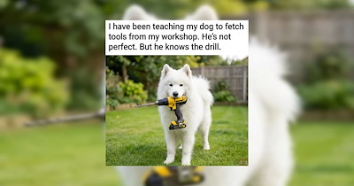 24 Puns and Wordplay Memes That Have a Funny Turn of Phrase