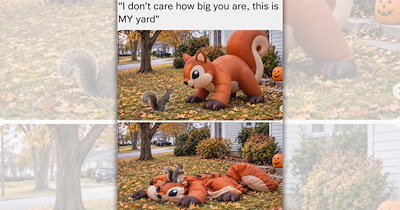 'No one does a better Dracula impression than Larry': 24 Wholesome Trick-or-Treating Animals to Satisfy Your Sweet Tooth This Halloween