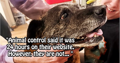 Rescuer saves dog’s life after ignoring Sheriff’s demand to dump dog, choosing to cuddle it through night of pain until animal shelter opened