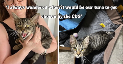 Woman hears mysterious meowing outside all day and rescues the sweetest kitten from her daughter's car engine