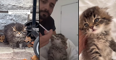 Kindhearted hooman finds an abandoned kitty out in the cold, so he takes it with him to feed it and give it a furever home: 'Apparently I’m the chosen one'