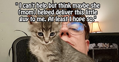 Kitten’s tiny cries save its life when pupper pawrent hears the feline screaming fur its life in CDS delivery