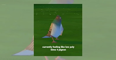 'Currently Feeling Like the Low-Poly Sims 4 Pigeon’: 17 Sims Memes for Ex-Players Who Miss It Every Day