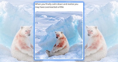22 Wild Animal Memes Proving Mother Nature Has a Wild Sense of Humor
