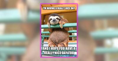 Extra Spoonful of Sugar Containing 32 Adorable Animal Memes to Sweeten Your Morning Coffee