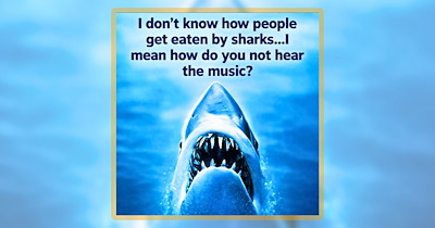 20 Fintastic Aquatic Funnies for Animal Lovers Who Need a Daily Deep Dive
