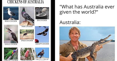 33 Aussie wildlife memes (mostly) for those Australians out there just trying to survive every time they step outside