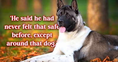 Wife torn after veteran husband with PTSD wants to adopt an Akita for safety, but a terrifying run-in with one leaves her afraid of the dog breed