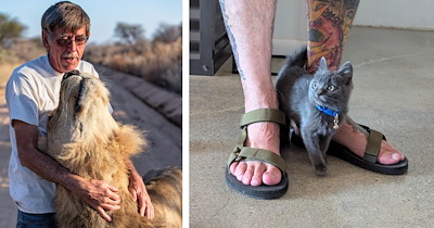 Your Weekly Meowgazine of 10 Real Feline Rescue Moments That Prove Compassion Has No Pedigree