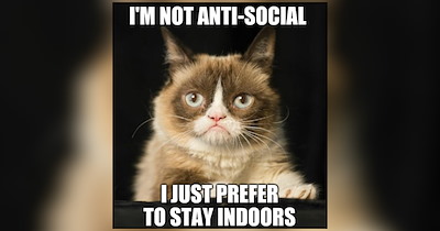 Introverted Cat Memes That Make Staying Home This Weekend Sound Purrfect