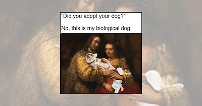 24 Dog Memes Kicking Off an October Weekend With Good Boy Energy
