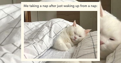 A pillowcase full of snoozy memes for all adults who want to leave everything behind and just use the afternoon for a long nap