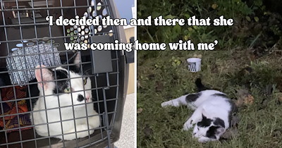 Woman goes to work on her day off and ends up rescuing a sweet dumpster kitty who steals her heart