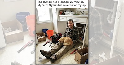 A Fresh Step of Uplifting Feline Funnies to Fight the Gloomy Weather With Giggles and Glee