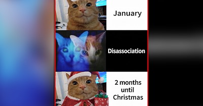 A Fresh Brew of 25 Heartwarming Cat Memes for a Slow Morning Scroll