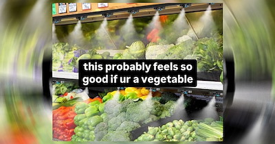25+ Vegetable Memes That Are Good For You (October 29, 2026)
