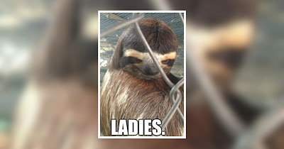 31 Pawtastic Animal Pictures for a MidWeek Furry Pick Me Up