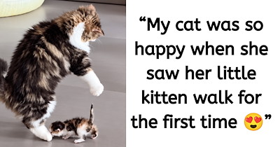 'That's my baby!': Mama Cat Does the Cutest Happy Dance After Witnessing Her Kitten Walking for the First Time