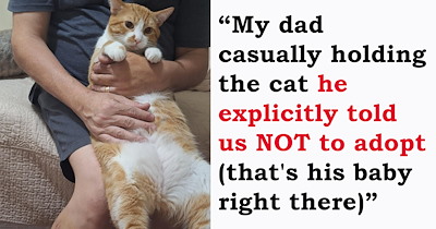 Meet the Newly Adopted Faces of the Week: 10 Heartwarming Cat Adoption Stories That Show How Love Changes Lives (October 30, 2026)