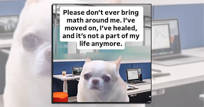 ‘Dear Maths, please learn to solve your own problems’: 27 Math Memes to Sum Some Joy to Your Day (October 29, 20206)