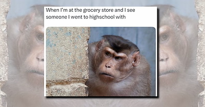 A Feral Friday Collection of 25 Hilarious Animal Memes for Critters Ready for Some Weekend Fun
