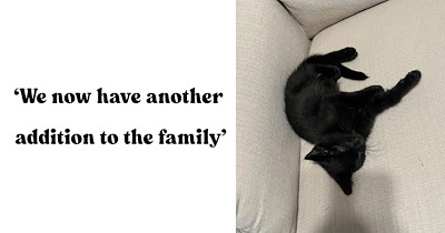 College student finishes her midterms and gets the sweetest surprise when her brother texts her about a black kitten who needs a home