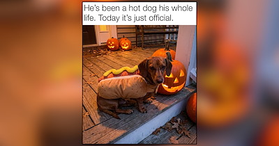 Good Boys And Ghouls Bringing A Howl Lot Of Halloween Hilarity