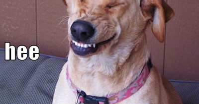 hehe hee hehe