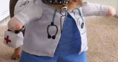 No, I am NOT Dr. Grey  I need to refer you to an ophthalmologist