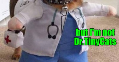 and what kind of doctor wears short pants?