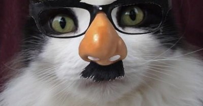 TUNBUDGER
