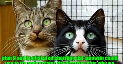 da kulprit reveeled!