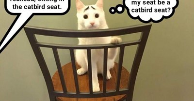 kitty hears Red Barber's signature opening