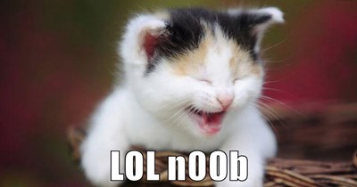 LOL n00b