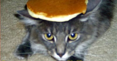 he wants maaay-ple syrup