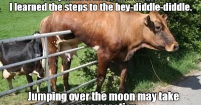 The nursery rhyme lied!