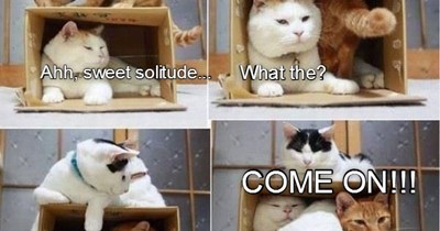 Come on!