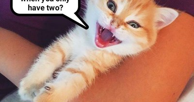 Why do they call yours "paws" even though you keep on going?