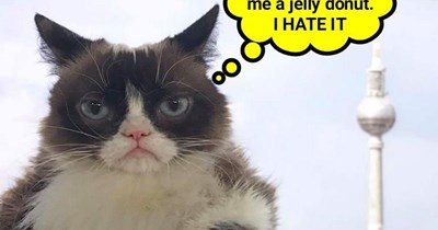 John F GrumpyCat