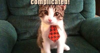 Time to be a cat!